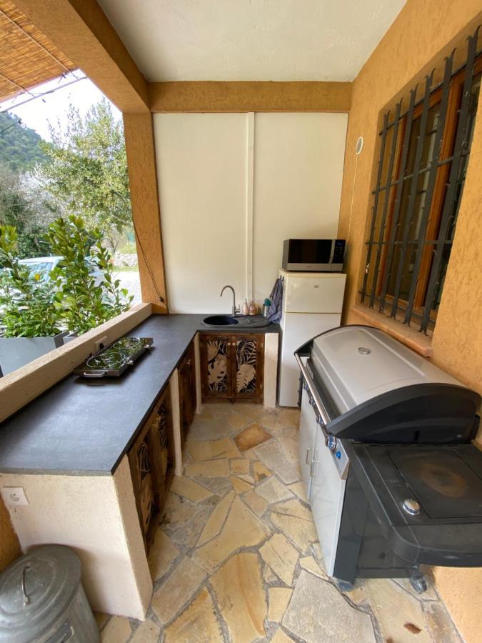 Superbe Studio De Charme Appartement Tourrette-Levens Buitenkant foto